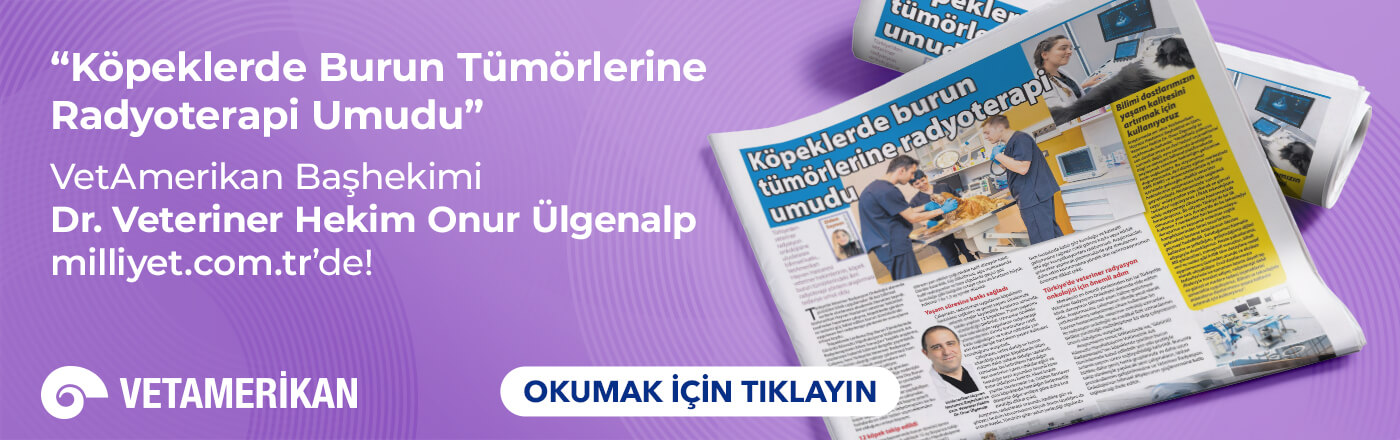 Köpeklerde Burun Tümörlerinde Radyoterapi Umudu