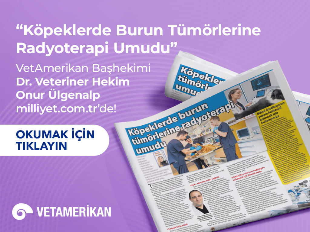 Köpeklerde Burun Tümörlerinde Radyoterapi Umudu